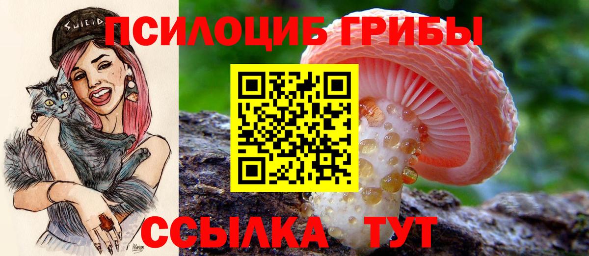 Галлюциногенные грибы Psilocybine cubensis  Вход с VPN  купить закладку  Приморско-Ахтарск 